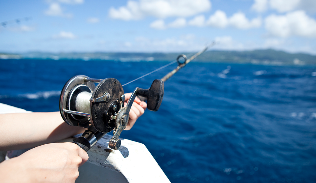 Stainless Steel Bearings for Skateboards & Fishing Reels